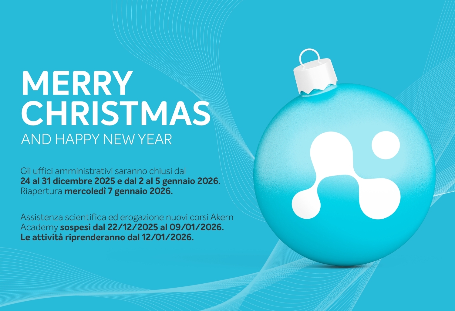 Merry Christmas and Happy New Year